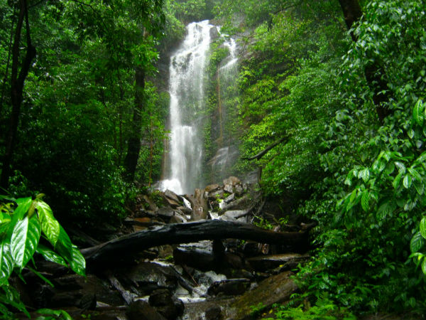 6. Shimoga