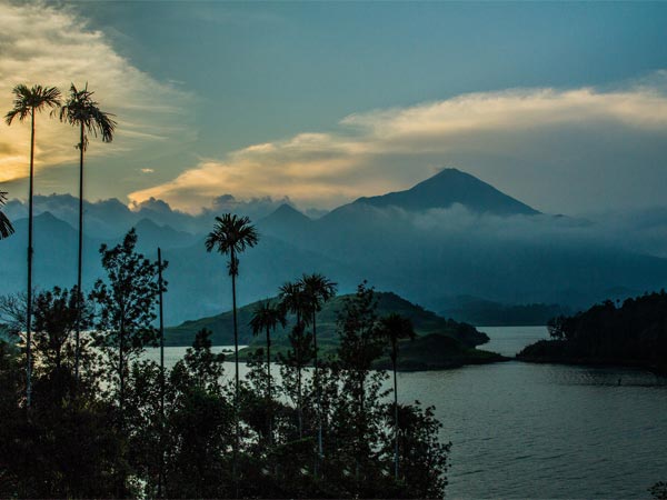 Wayanad