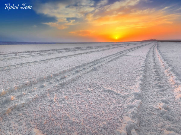 5. Great Rann Of Kutch