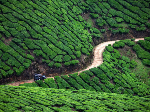 7. Munnar
