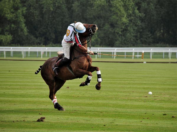 Play Polo
