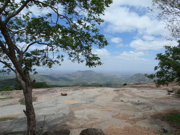 2. Horsley Hills
