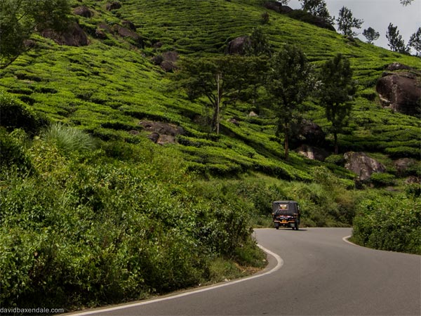 Kochi – Munnar