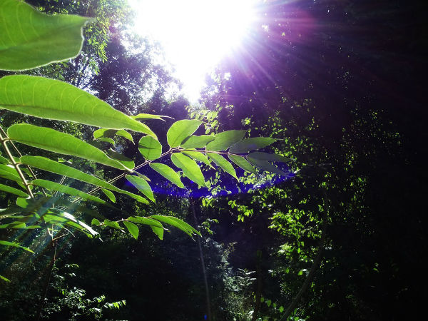 4. Close To Mother Nature