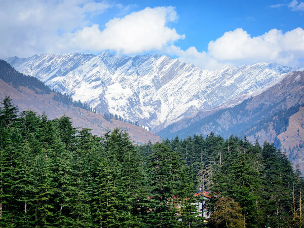 5. Base Camp Of Churdhar Peak