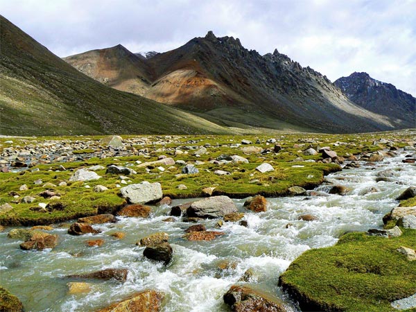 Flora And Fauna Of Askot Wildlife Sanctuary