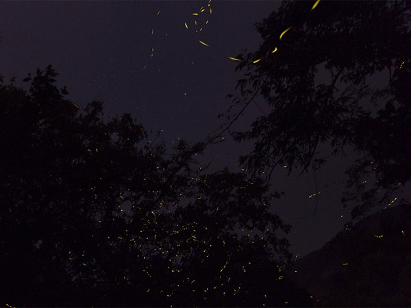 Rajmachi Trek