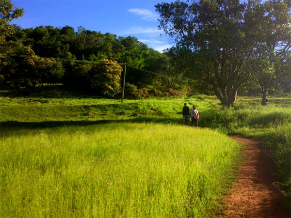 Yelagiri
