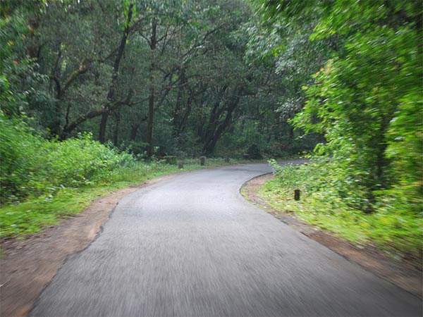Agumbe
