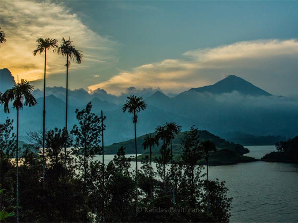Wayanad