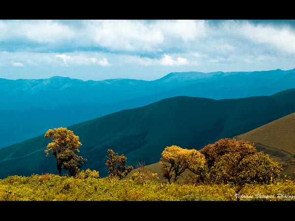 Chikmagalur