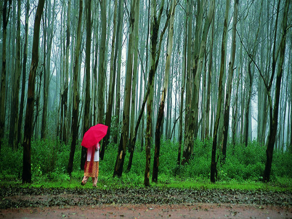 1. Pachmarhi