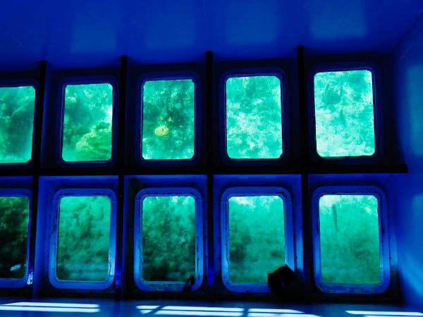 4. Glass-bottom Boating