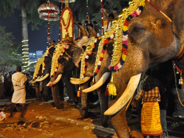 6. Thrissur Pooram
