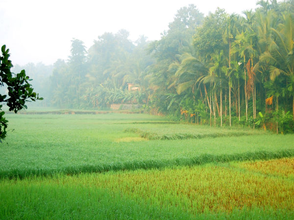 1. Urakam, Kerala