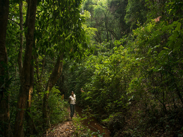 4. Poppalwadi, Goa
