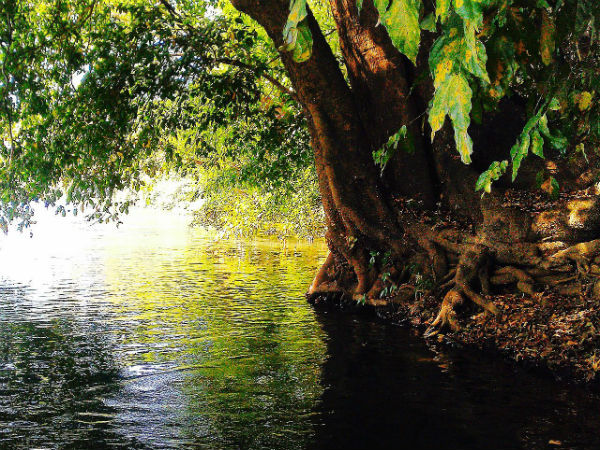 8. Hankon, Karnataka