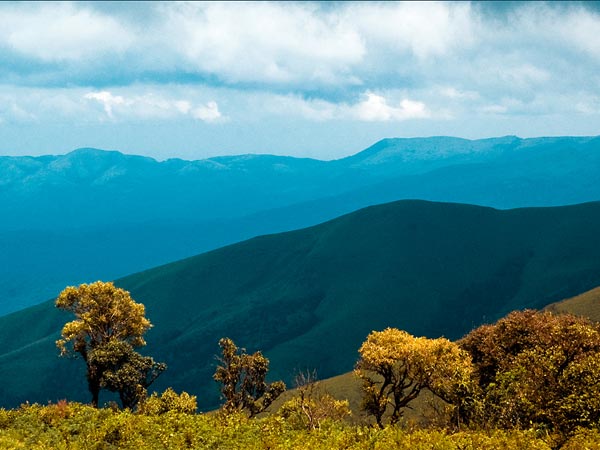 Chikmagalur
