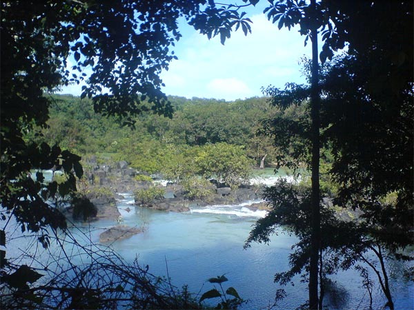 Dandeli
