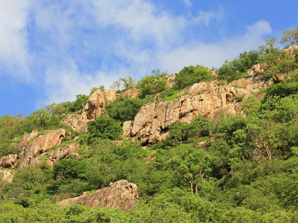 8. Shivagange