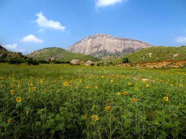 9. Madhugiri