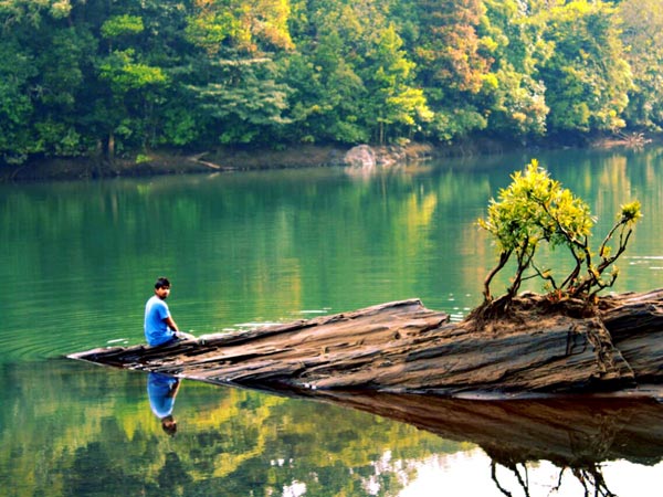 46. Dandeli