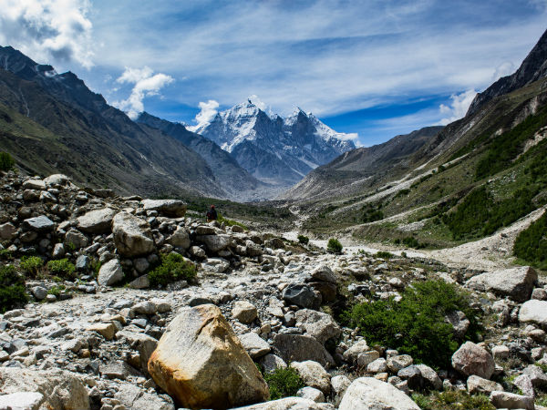 Gangotri National Park Gangotri National Park
