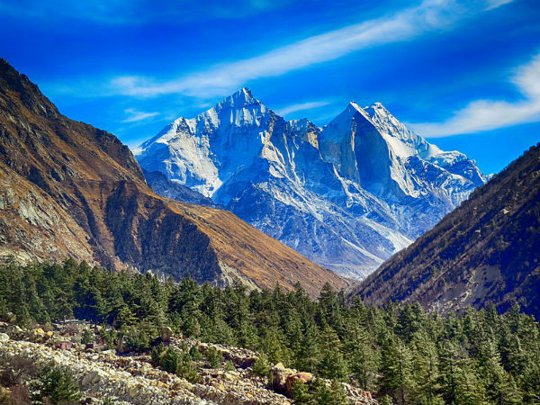 Gangotri National Park Gangotri National Park
