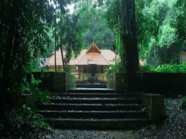 iringole kavu iringole kavu