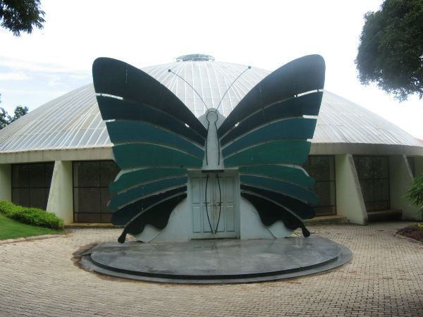 Butterfly Park