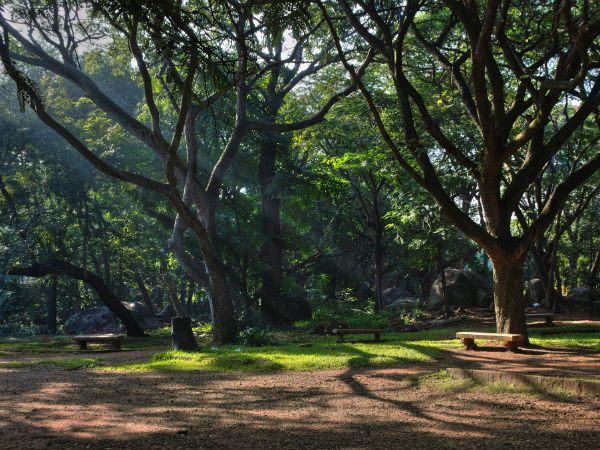 Cubbon Park