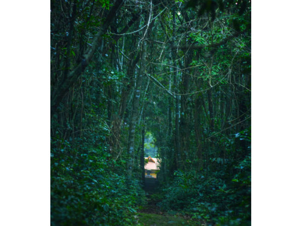 iringole kavu iringole kavu