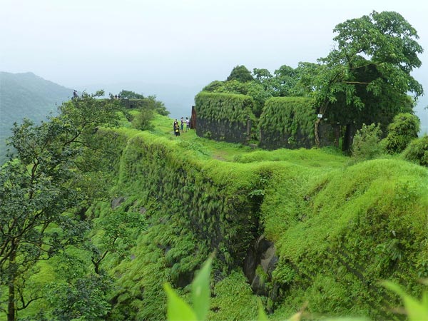 1. Karnala