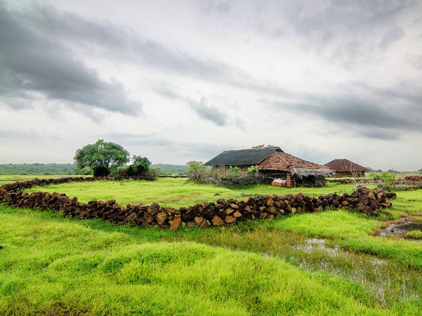 11. Palghar