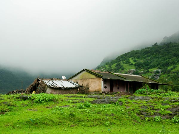 50. Amboli