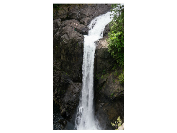 3. Elk Falls