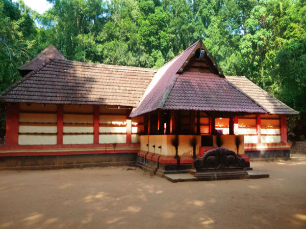 iringole kavu iringole kavu