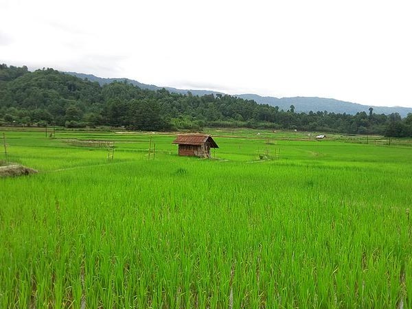 Ziro