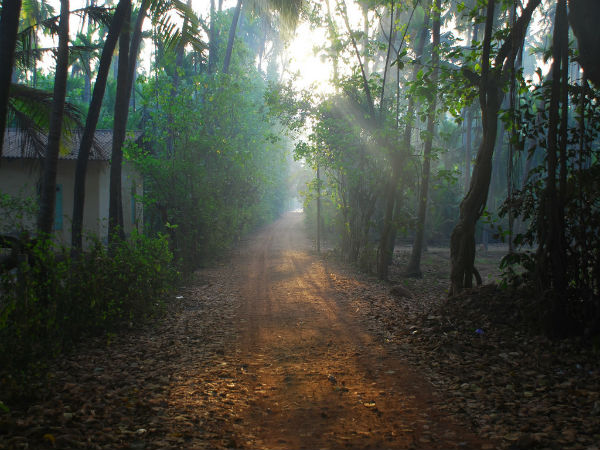 5. Diveagar, Maharashtra