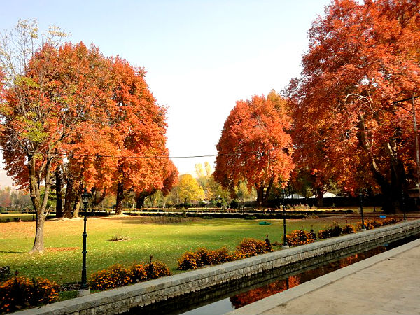 Verinag Garden