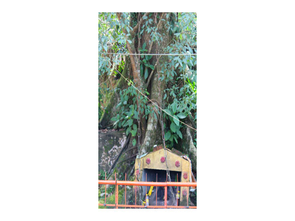 Chain Tree