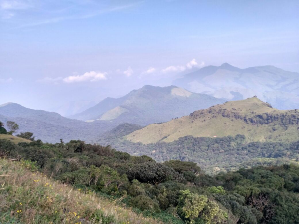Tadiandamol Trek Tadiandamol Trek