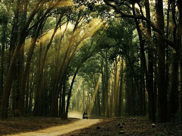 Routes From Delhi To Jim Corbett National Park