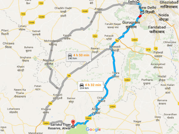 sariska national park sariska national park
