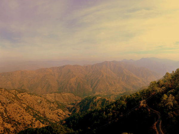 Tip N Top Viewpoint