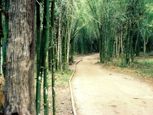 1. To Enjoy The Scenic Beauty At Nisargadhama