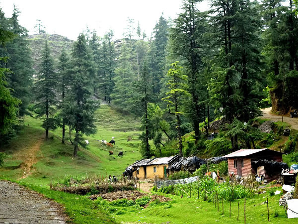 Destination: Mussoorie