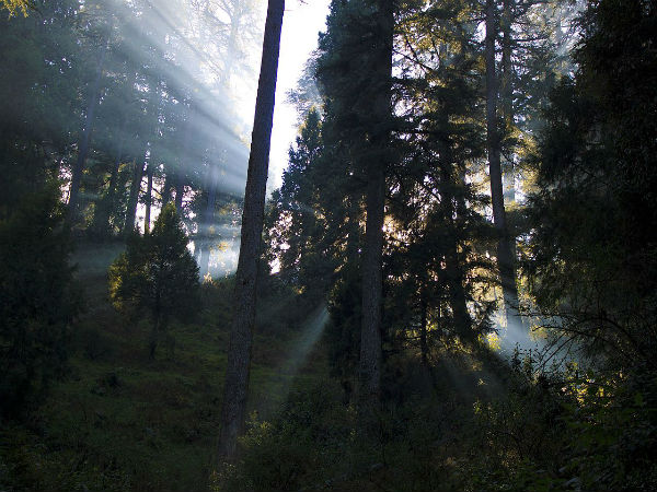Lal Tibba