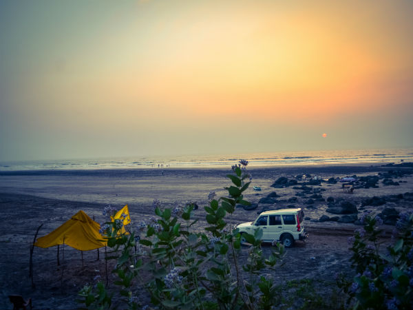 Dapoli