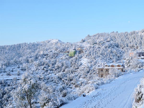 Best Time To Visit Shoghi